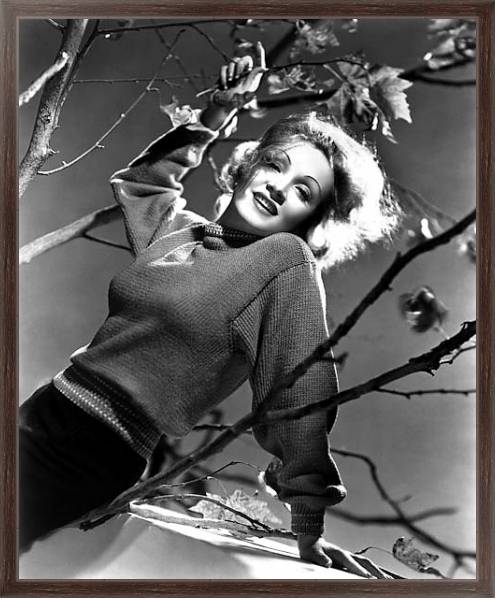 Постер Dietrich, Marlene 2 с типом исполнения На холсте в раме в багетной раме 221-02