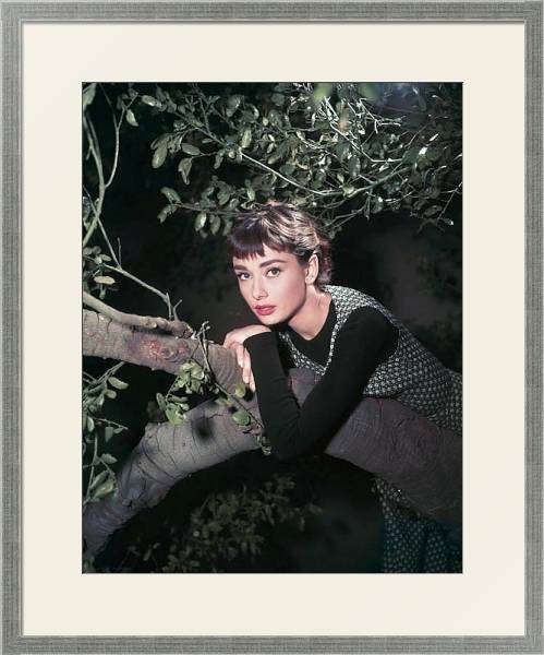 Постер Hepburn, Audrey (Sabrina) 12 с типом исполнения Под стеклом в багетной раме 1727.2510