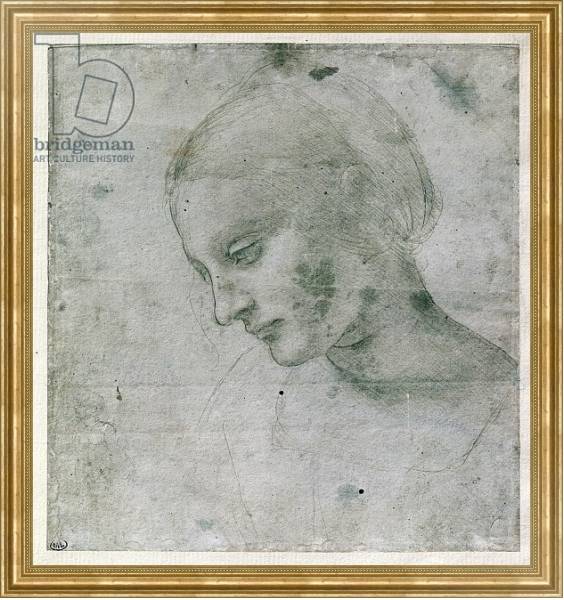 Постер Head of a Young Woman or Head of the Virgin, c.1490 с типом исполнения На холсте в раме в багетной раме NA033.1.051