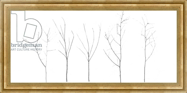 Постер Territori Innevati - cinque alberi giorno, 2012, photographic contamination с типом исполнения На холсте в раме в багетной раме NA033.1.051