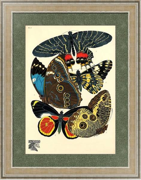 Постер Papillons by E. A. Seguy №12 с типом исполнения Акварель в раме в багетной раме 485.M40.584
