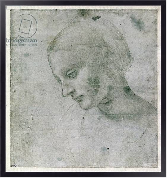 Постер Head of a Young Woman or Head of the Virgin, c.1490 с типом исполнения На холсте в раме в багетной раме 221-01