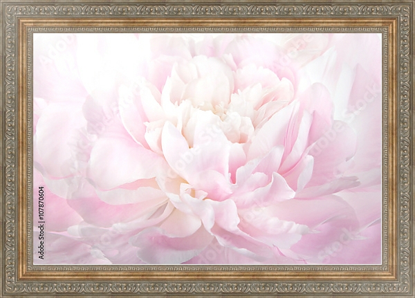 Постер Нежно-розовый пион макро с типом исполнения На холсте в раме в багетной раме 484.M48.310