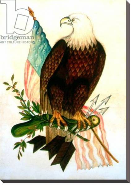 Постер Bald eagle with flag с типом исполнения На холсте без рамы