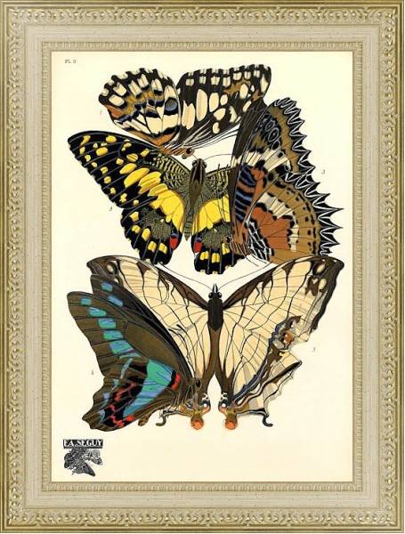 Постер Papillons by E. A. Seguy №20 с типом исполнения Акварель в раме в багетной раме 484.M48.725