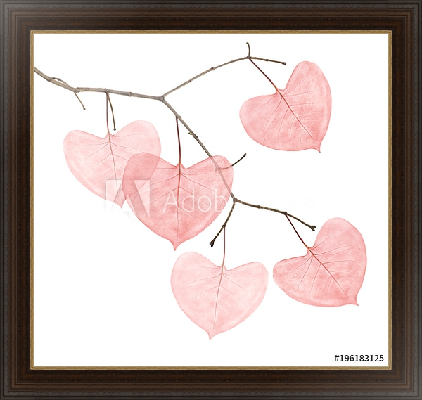 Постер Ветка с розовыми листьями в форме сердца  с типом исполнения На холсте в раме в багетной раме 1.023.151