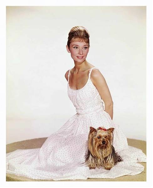 Постер Hepburn, Audrey 5 с типом исполнения На холсте в раме в багетной раме 221-03