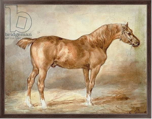 Постер A docked chestnut horse с типом исполнения На холсте в раме в багетной раме 221-02