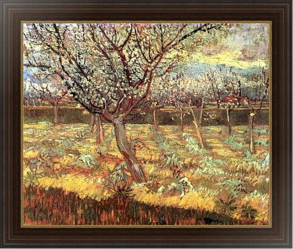 Постер Абрикосовые деревья в цвету с типом исполнения На холсте в раме в багетной раме 1.023.151