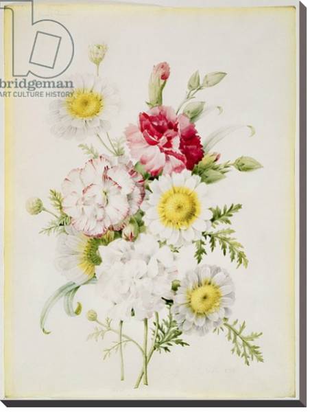 Постер Bunch of Mixed Carnations and White Marigolds, 1839 с типом исполнения На холсте без рамы