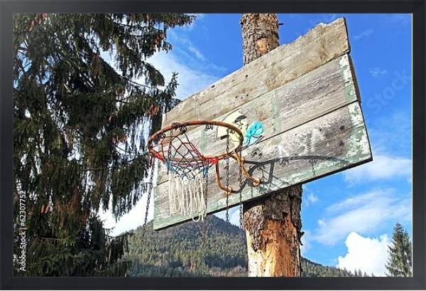 Постер Старая баскетбольная корзина с типом исполнения На холсте в раме в багетной раме 1727.8010