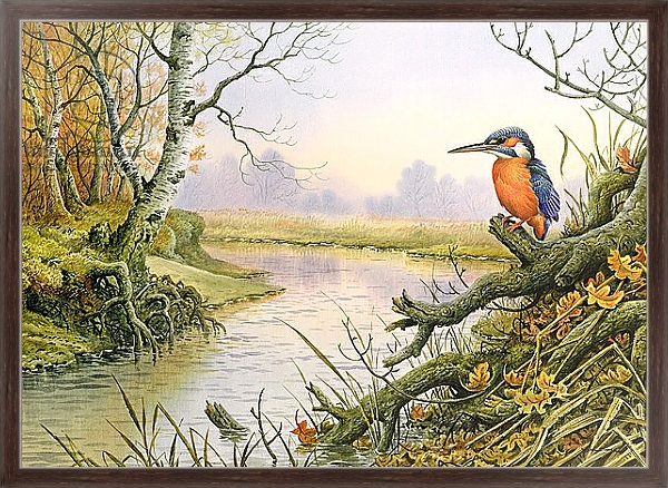 Постер Kingfisher: Autumn River Scene с типом исполнения На холсте в раме в багетной раме 221-02