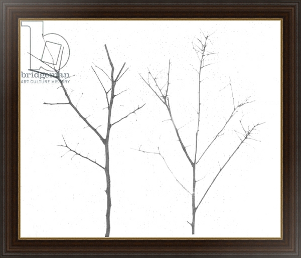 Постер territori innevati - due alberi giorno -2012, photographic contamination с типом исполнения На холсте в раме в багетной раме 1.023.151