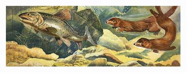 Постер Otters chasing fish с типом исполнения На холсте в раме в багетной раме 221-03