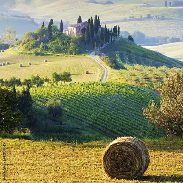 Постер Италия, Тоскана с типом исполнения На холсте без рамы