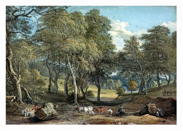 Постер Windsor Forest with Oxen Drawing Timber, 1798 с типом исполнения На холсте в раме в багетной раме 221-03