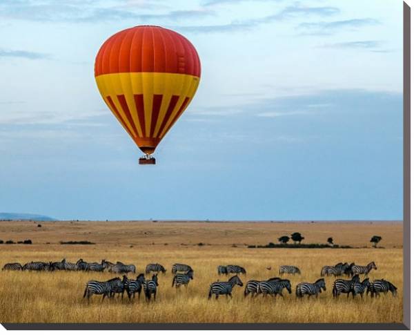 Постер Воздушный шар над стадом зебр в прерии с типом исполнения На холсте без рамы