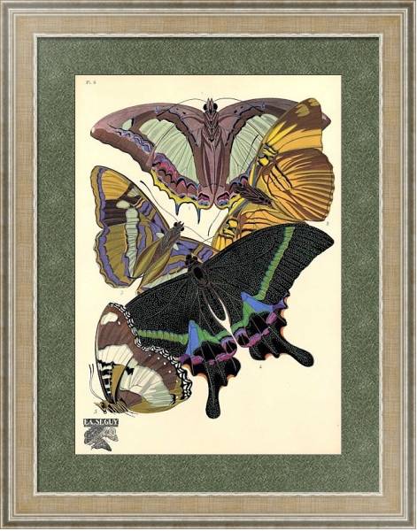 Постер Papillons by E. A. Seguy №19 с типом исполнения Акварель в раме в багетной раме 485.M40.584