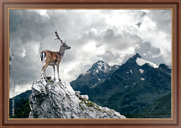 Постер Олень на вершине скалы на фоне снежных гор с типом исполнения На холсте в раме в багетной раме 35-M719P-83