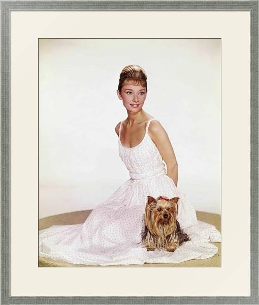Постер Hepburn, Audrey 5 с типом исполнения Под стеклом в багетной раме 1727.2510