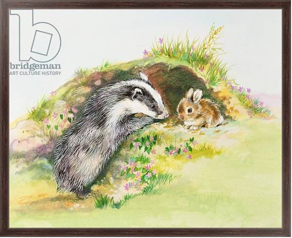 Постер Badger and a Rabbit с типом исполнения На холсте в раме в багетной раме 221-02