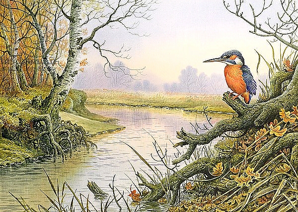 Постер Kingfisher: Autumn River Scene с типом исполнения На холсте без рамы
