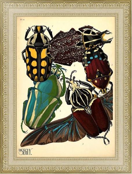 Постер Insects by E. A. Seguy №3 с типом исполнения Акварель в раме в багетной раме 484.M48.725
