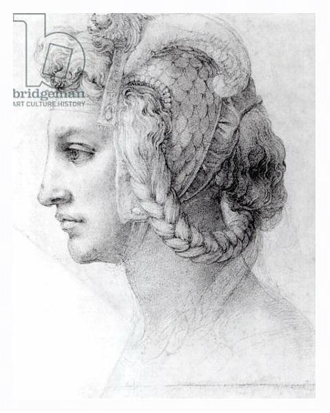 Постер Ideal Head of a Woman, c.1525-28 с типом исполнения На холсте в раме в багетной раме 221-03