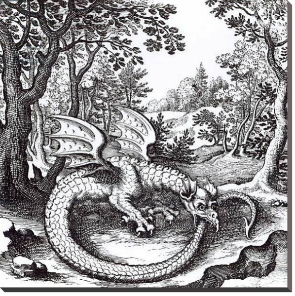 Постер A Dragon in the Forest, from 'Musaeum Hermeticum Reformatum' by Basil Valentine, 1678 с типом исполнения На холсте без рамы