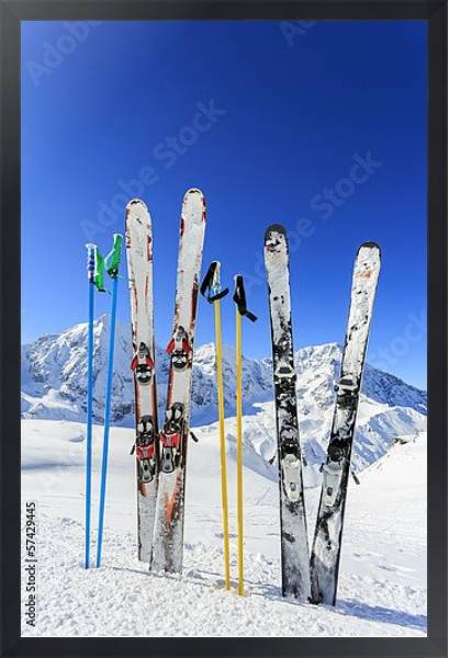 Постер Горные лыжи с типом исполнения На холсте в раме в багетной раме 1727.8010