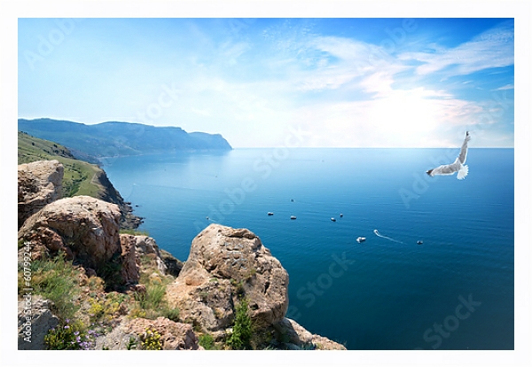 Постер Крым, чайка над морем с типом исполнения На холсте в раме в багетной раме 221-03
