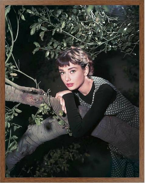 Постер Hepburn, Audrey (Sabrina) 12 с типом исполнения На холсте в раме в багетной раме 1727.4310