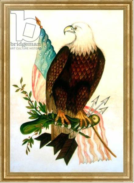 Постер Bald eagle with flag с типом исполнения На холсте в раме в багетной раме NA033.1.051