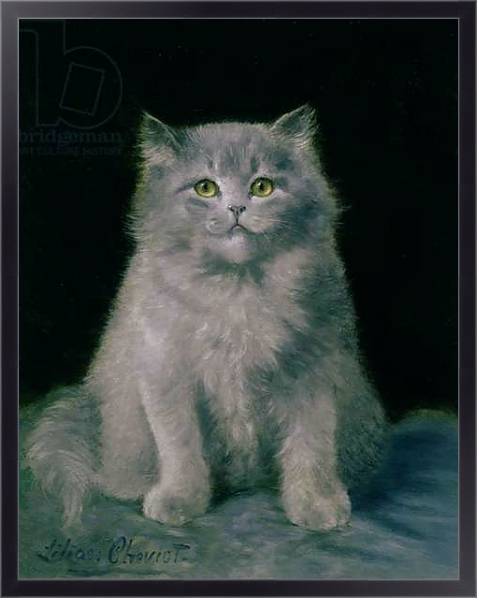 Постер Study of a cat с типом исполнения На холсте в раме в багетной раме 221-01