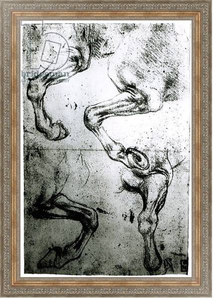 Постер Studies of Horses legs с типом исполнения На холсте в раме в багетной раме 484.M48.310