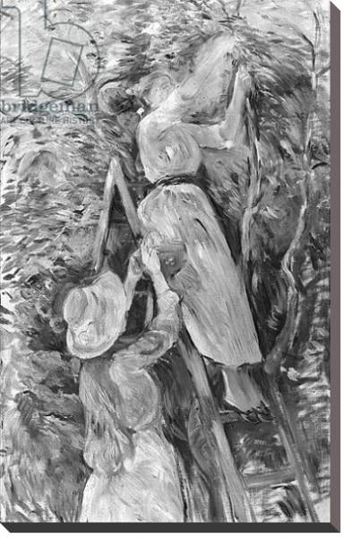 Постер Picking cherries, 1891 с типом исполнения На холсте без рамы