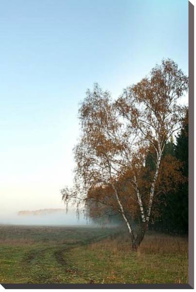 Постер Туманное утро 2 с типом исполнения На холсте без рамы