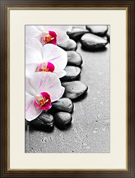 Постер Камни. Орхидеи с типом исполнения Под стеклом в багетной раме 1.023.036