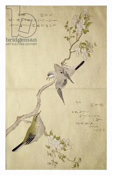 Постер Tit on a bough on the right and a Bush-warbler on a branch on the left с типом исполнения На холсте в раме в багетной раме 221-03