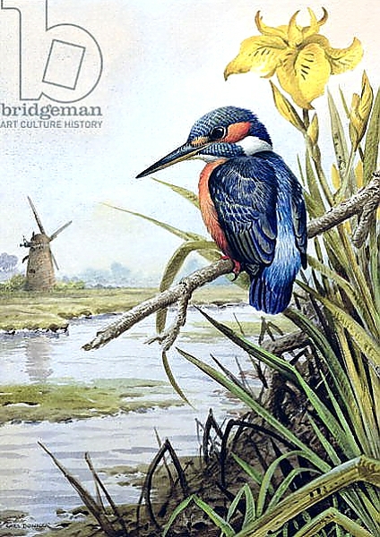 Постер Kingfisher with Flag Iris and Windmill с типом исполнения На холсте без рамы
