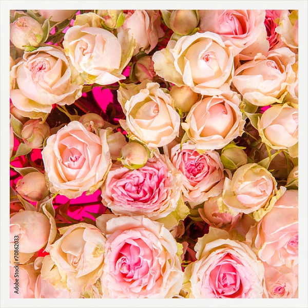 Постер Розы. Розовое облако. с типом исполнения На холсте в раме в багетной раме 1727.7010