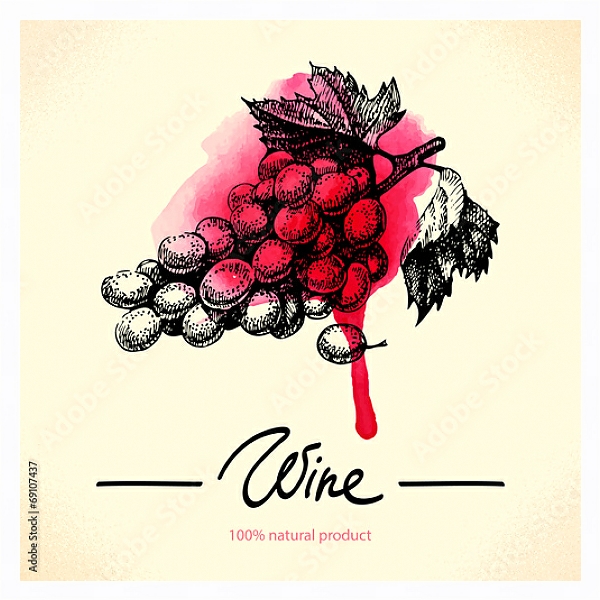 Постер Гроздь винограда с красной кляксой с типом исполнения На холсте в раме в багетной раме 221-03