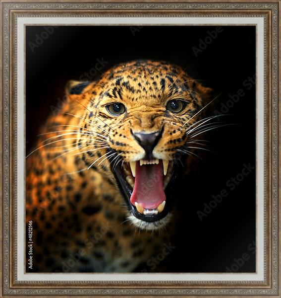 Постер Леопард 2 с типом исполнения На холсте в раме в багетной раме 595.M52.330