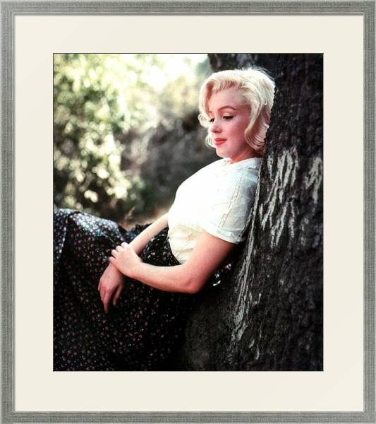 Постер Monroe, Marilyn 104 с типом исполнения Под стеклом в багетной раме 1727.2510