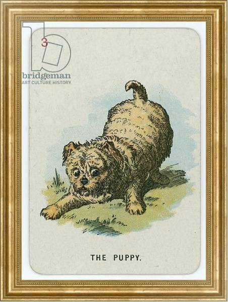 Постер The Puppy 2 с типом исполнения На холсте в раме в багетной раме NA033.1.051