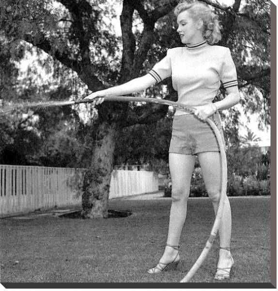 Постер Monroe, Marilyn 94 с типом исполнения На холсте без рамы