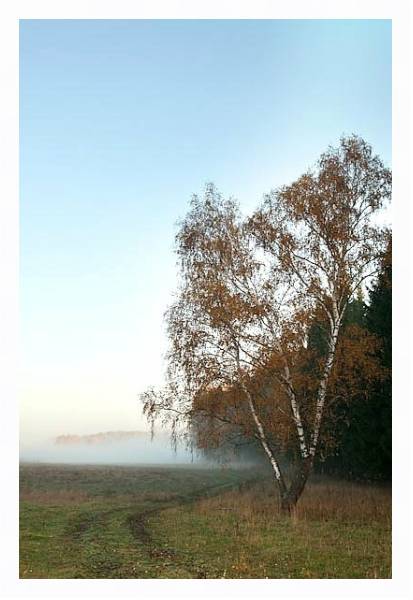 Постер Туманное утро 2 с типом исполнения На холсте в раме в багетной раме 221-03