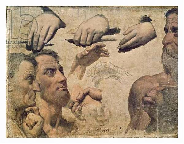 Постер Study of Heads and Hands for the Apotheosis of Homer с типом исполнения На холсте в раме в багетной раме 221-03