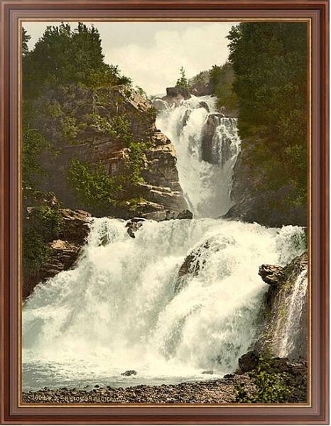 Постер Швейцария. Рейхенбахский водопад с типом исполнения На холсте в раме в багетной раме 35-M719P-83