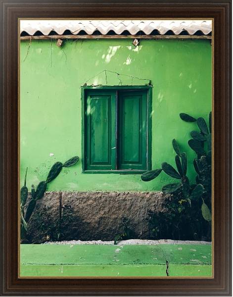 Постер Зеленый дом с кактусами с типом исполнения На холсте в раме в багетной раме 1.023.151